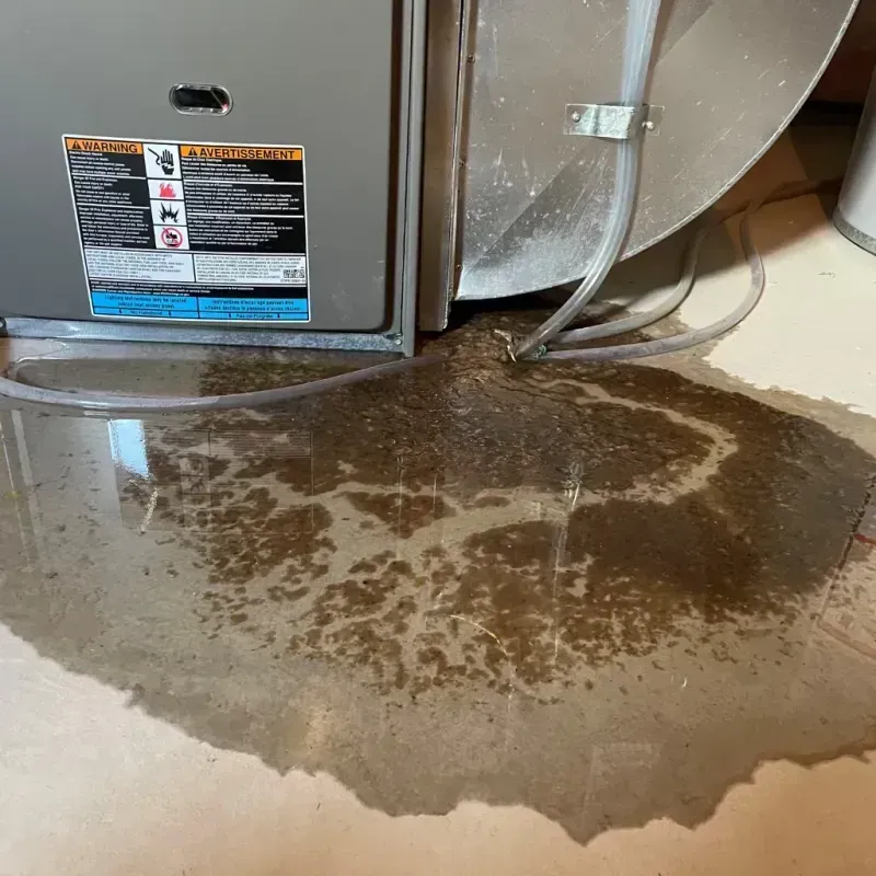 Appliance Leak Cleanup in Garden City, SC